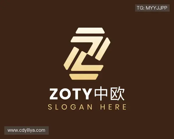 解读zoty中欧